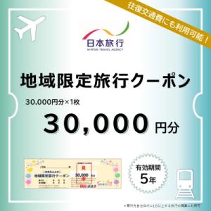 ふるさと納税 伊豆市 静岡県伊豆市　日本旅行　地域限定旅行クーポン30,000円分