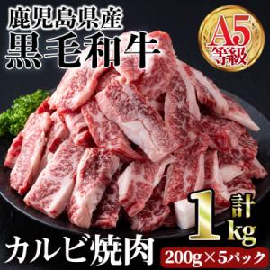 ふるさと納税 曽於市 A5等級鹿児島県産黒毛和牛カルビ焼肉1kg