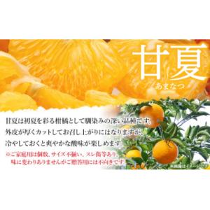 ふるさと納税 西予市 <愛媛県西予市産 ...の詳細画像1