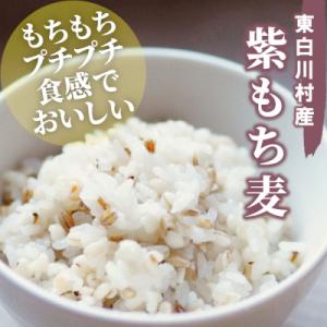 ふるさと納税 東白川村 東白川村産 紫もち麦 ...の詳細画像1
