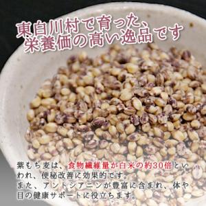 ふるさと納税 東白川村 東白川村産 紫もち麦 ...の詳細画像2