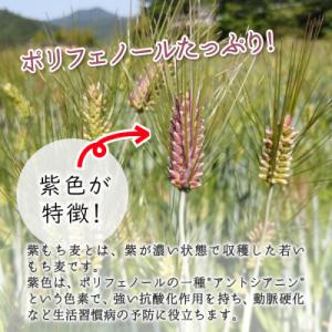 ふるさと納税 東白川村 東白川村産 紫もち麦 ...の詳細画像3
