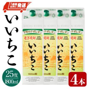 ふるさと納税 宇佐市 いいちこ 25度 パック(計7.2L・1.8L×4本)【107302300】【...