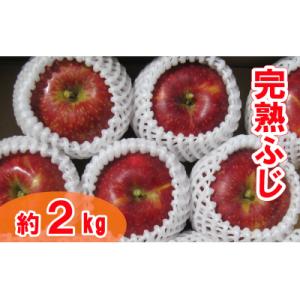 ふるさと納税 陸前高田市 【先行受付】 大玉 りんご ふじ 約2kg 完熟 米崎りんご リンゴ 林檎 フルーツ 果物