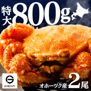 ふるさと納税 浜頓別町 ☆北海道産 毛ガニ 約800g×2尾 セット かに 蟹 毛蟹 冷凍 北海道産...