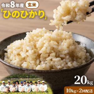 ふるさと納税 笠岡市 【令和8年産 先行受付】玄米  ひのひかり 笠岡産 20kg太陽の恵み O-07_20k_玄米