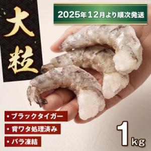 ふるさと納税 淡路市 至福の大粒むきえび　背ワタ処理済 1kg【2025年12月より順次発送】　ao...