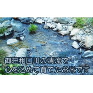 ふるさと納税 愛南町 新米 令和8年産 にじの...の詳細画像2