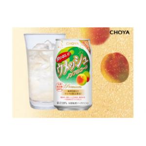 ふるさと納税 各務原市 チョーヤ CHOYA 酔わないウメッシュ缶 350ML×24本 【622】
