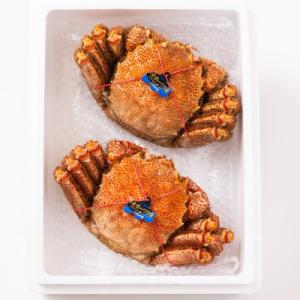 ふるさと納税 紋別市 毛ガニ約570g×2尾
