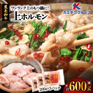 ふるさと納税 鹿児島市 ワンランク上のもつ鍋に!上ホルモン600g(200g×3パック)　K002-...