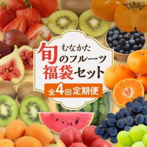 ふるさと納税 宗像市 何が届くかお楽しみ!むなかた旬のフルーツ福袋定期便【年4回】【JAほたるの里】...
