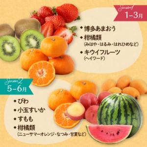 ふるさと納税 宗像市 何が届くかお楽しみ!むな...の詳細画像2