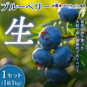 ふるさと納税 石巻市 ブルーベリー(1kg) 箱入り 生 無農薬 化学肥料不使用摘みたて 冷蔵 大粒