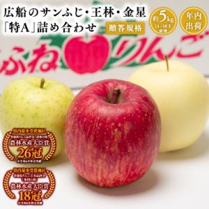 ふるさと納税 平川市 年内 贈答規格 広船のサンふじ・王林・金星約5kg詰合せ「特A」