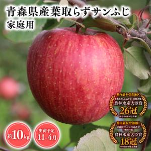 ふるさと納税 平川市 11月〜4月発送　【訳あり】家庭用葉とらずサンふじ10kg　【そと川りんご園・...