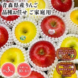 ふるさと納税 平川市 品種お任せ　【訳あり】家庭用　旬のりんご詰め合わせ3kg