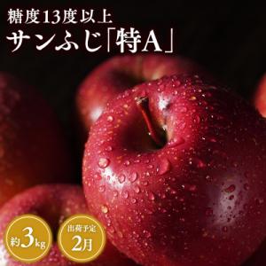 ふるさと納税 平川市 2月 サンふじりんご「特A」約3kg 糖度13度以上 【森山商店・平川市産・青森りんご・2月】