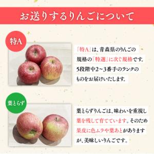 ふるさと納税 平川市 2月 サンふじりんご「特...の詳細画像1