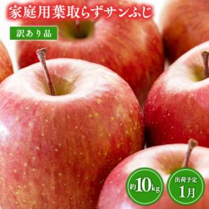 ふるさと納税 平川市 1月 訳あり 家庭用葉取らずサンふじりんご 約10kg【森山商店・青森県産・青...