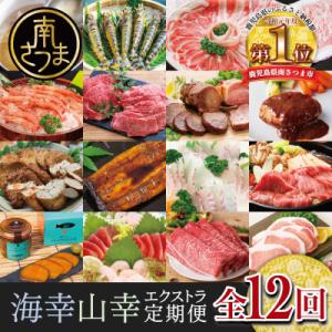 ふるさと納税 南さつま市 海幸山幸エクストラ定期便(全12回) ハンバーグ 刺身 しゃぶしゃぶ すき焼き マグロ 牛肉 豚肉