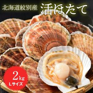 ふるさと納税 紋別市 北海道紋別産 活ホタテ2kg(Lサイズ)