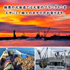 ふるさと納税 紋別市 【甲羅組】【訳あり】ほた...の詳細画像1