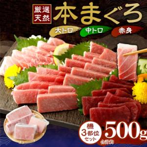 ふるさと納税 室戸市 【厳選天然本まぐろ】大トロ・中トロ・赤身 500g