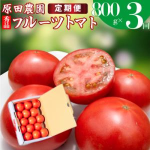 ふるさと納税 佐川町 〈2026年12月下旬〜順次発送〉【3回定期便】フルーツトマト 原田農園 約8...