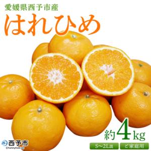 ふるさと納税 西予市 &lt;愛媛県西予市産 はれひめ ご家庭用 約4kg&gt; 訳あり ワケアリ 不揃い 果...