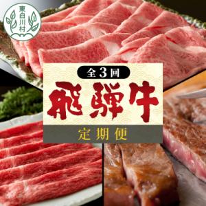 ふるさと納税 東白川村 飛騨牛 定期便 全3回 すき焼き しゃぶしゃぶ ステーキ 焼肉 BBQ 牛 ...