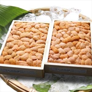 ふるさと納税 根室市 エゾバフンウニバラ詰め140〜150g×2折[11月上旬以降発送] F-710...