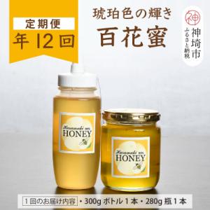 ふるさと納税 神埼市 【定期便12回】神埼産 天然はちみつ(計6.96kg)定期コース(H049132)