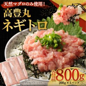 ふるさと納税 室戸市 ネギトロ 800g (200g×4パック) 個包装パック