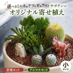 ふるさと納税 小牧市 サボテンのオリジナル寄せ植え(小)【恐竜セット】(観葉植物・多肉植物)[133...