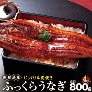 ふるさと納税 大崎町 うなぎ 蒲焼 200g×4尾【鹿児島産】地下水で育てた逸品鰻