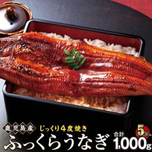 ふるさと納税 大崎町 うなぎ 蒲焼 200g×5尾【鹿児島産】地下水で育てた逸品鰻