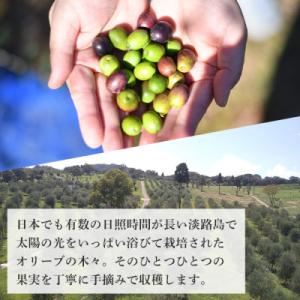 ふるさと納税 淡路市 40本セット!「淡路阿利...の詳細画像2