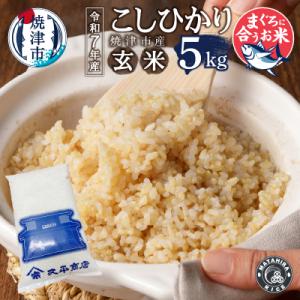 ふるさと納税 焼津市 令和7年産　マグロによく合うお米 コシヒカリ 玄米 5kg(a12-294)