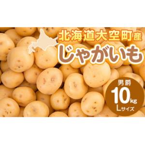 ふるさと納税 大空町 じゃがいも(男爵) Lサイズ 10kg 大空町産
