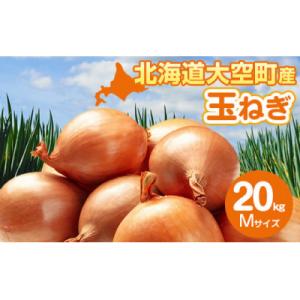 ふるさと納税 大空町 【先行受付】玉ねぎ Mサイズ 20kg 大空町産(2025年10月上旬より発送)