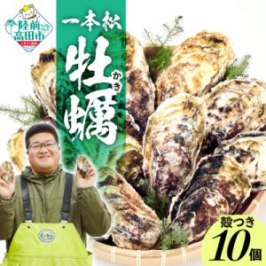 ふるさと納税 陸前高田市 先行受付 『一本松牡蠣』 生食用 殻付き牡蠣 10個 セット 【 三陸 岩...