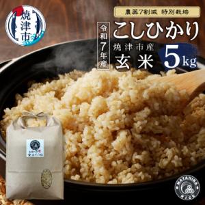 ふるさと納税 焼津市 令和7年産 特別栽培 コシヒカリ 玄米 5kg(a14-128)