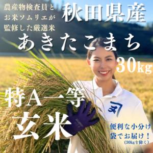 ふるさと納税 湯沢市 【米農家直送】令和7年産米　特Aランク厳選秋田県産あきたこまち【玄米30kg】[N4-2303]