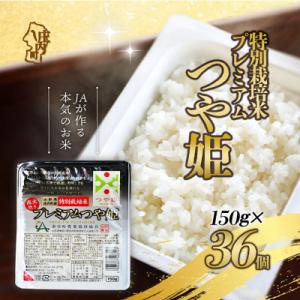 ふるさと納税 庄内町 プレミアムつや姫パックごはん 36個