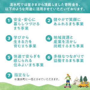 ふるさと納税 清水町 【返礼品なし】北海道清水...の詳細画像1