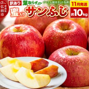 ふるさと納税 弘前市 りんご 葉取らずサンふじ【訳あり】約10kg 蜜入り|24_ems-031001a