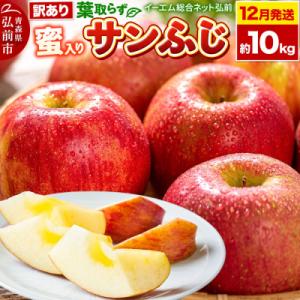 ふるさと納税 弘前市 りんご【26年12月発送】葉取らずサンふじ【訳あり】約10kg　蜜入り|24_...