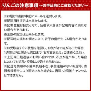 ふるさと納税 弘前市 りんご【26年12月発送...の詳細画像1
