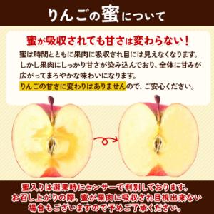 ふるさと納税 弘前市 りんご【26年12月発送...の詳細画像3